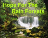 All about rain forests of the world