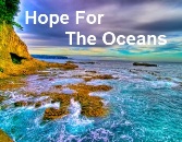 All about coral reefs and the oceans